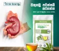 Marsh Barbel Drink 50g. 