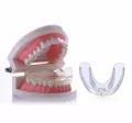 Soft Orthodontic Appliance Trainer Alignment For Adult Transparent. 