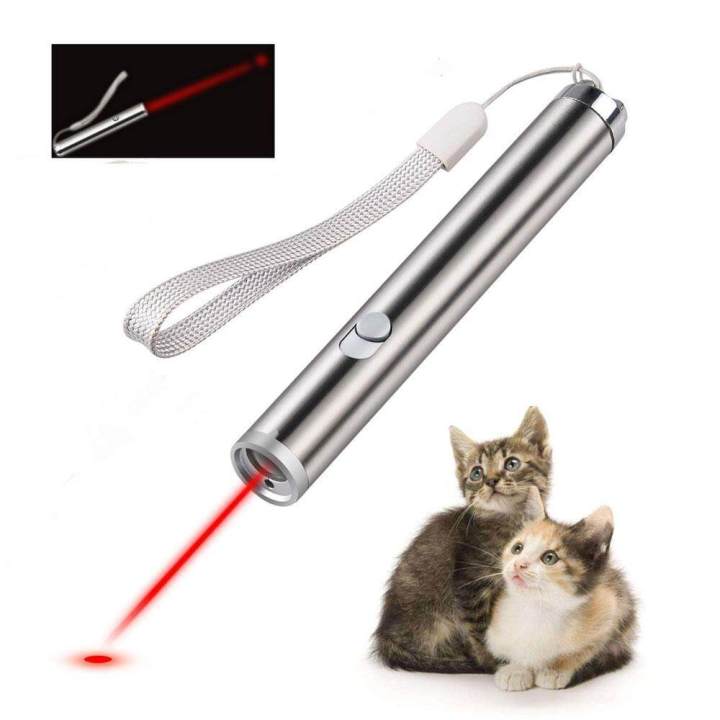 Confezione Da 2 Mini Torce LED Portachiavi Con Laser Rosso – Gioco Per Cani E Gatti