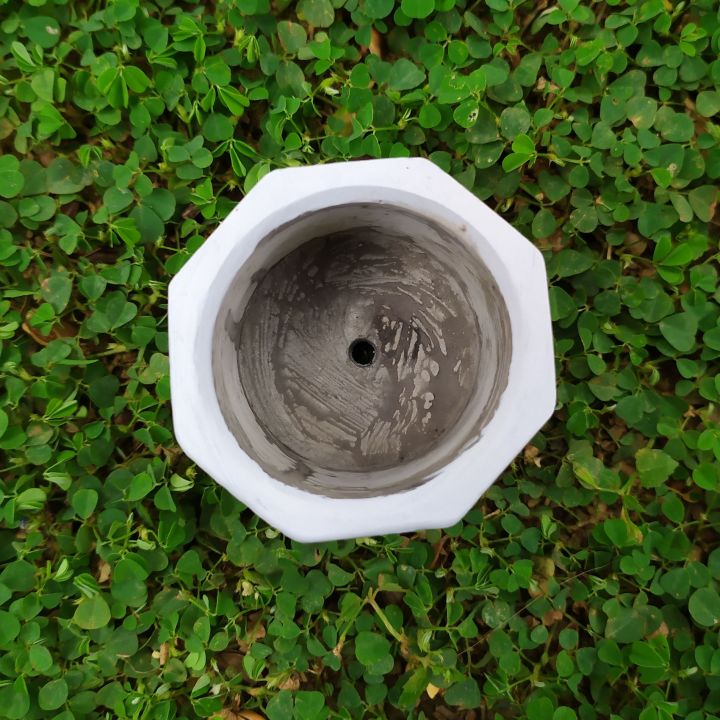 Cactus%20Mini%20Cement%20Pot%20-%20Octagon%20Shape-Succulent%20Planter%20-%20Image%203