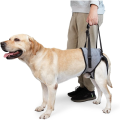 Dog Sling for Injured Dogs Leg Support Harness for Rehabilitation Rehabilitation of Disabilities. 