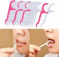 10pcs Dental Floss Flosser Picks Teeth Toothpicks Stick Tooth Clean. 