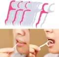 Tooth Cleaning Dental Floss Toothpicks Plastic Set. 