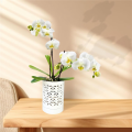 Orchid Pots with Holes,4 Inch Ceramic Orchid Pot for Repotting, Flower Planter Pot Indoor Outdoor, Breathable Easy to Use White. 