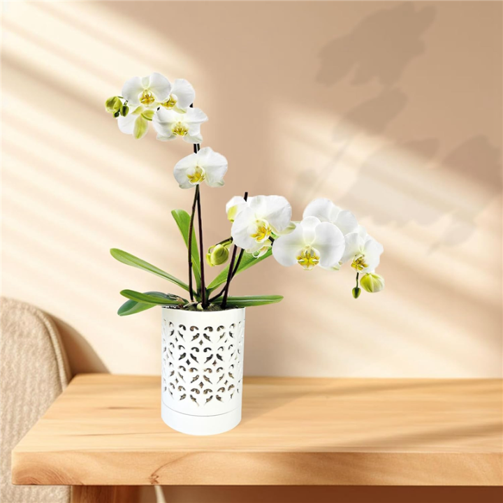 Orchid%20Pots%20with%20Holes,4%20Inch%20Ceramic%20Orchid%20Pot%20for%20Repotting,%20Flower%20Planter%20Pot%20Indoor%20Outdoor,%20Breathable%20Easy%20to%20Use%20White%20-%20Image%204