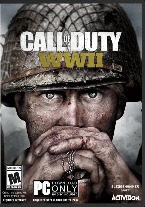 Call of Duty WWII Pc Game