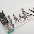 Mont Marte Willow Charcoal 12Pcs Set 4 Small , 4 Medium , 4 Large Sticks. 