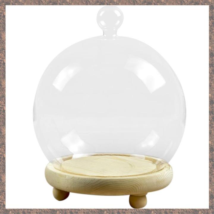 Clear Glass Display Dome with Wooden Base Preserved Flower Glass Cover ...