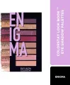 ENIGMA (COLORSTAY LOOKS BOOK PALETTE)(3.4GM). 