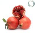 promaganate plant/delum plant/ fruit plants. 