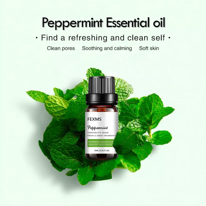 Peppermint Essential Oil for Aromatherapy Diffuser - Mint Scented ...