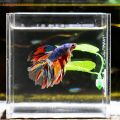 [LargeLookout] 1Pc Artificial Aquarium s Decoration Betta Fish Rest Spawning Ornamental Plant Fish Play Relax Hide Leaf Hammock. 