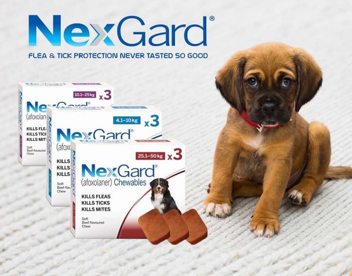 NEXGARD%20Dog%20Chews%20Chewable%2068mg%20(1%20Tablet)%20for%20Large%20Dogs%2010-25%20Kg%20Kills%20Prevent%20Ticks%20Fleas%20Nits%20Worms%20Pesticide%20Afoxolaner%20-%20Image%203