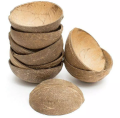 10 Pcs Dry Coconut Shell Without Fiber But Not Smooth Natural Design. 