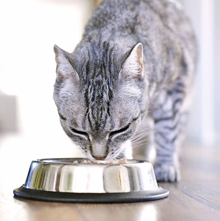 Small%2018cm%20Bowl%20Stainless%20Steel%20Puppy%20Dog%20Cat%20Rabbit%20Food%20Water%20Feeding%20Colourful%20Utensil%20Feeder%20Dogs%20Pets%20Dog%20Food%20Bowl%20Dogs%20Sale%20Sri%20Lanka%20Pets%20Dog%20Sale%20Food%20Bowls%20Foods%20Bowls%20Dogs%20Sell%20Pet%20Feeders%20Water%20Bowl%20Dog%20Bowl%20-%20Image%207