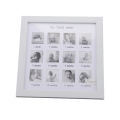 Baby First Year Picture Frame Newborn Baby s First Year 12 Month. 