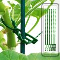 30 Pack Plant Support Stakes Garden Single Stemmed Plant Support Plant Stakes, Plant Prop, Plant Sticks. 