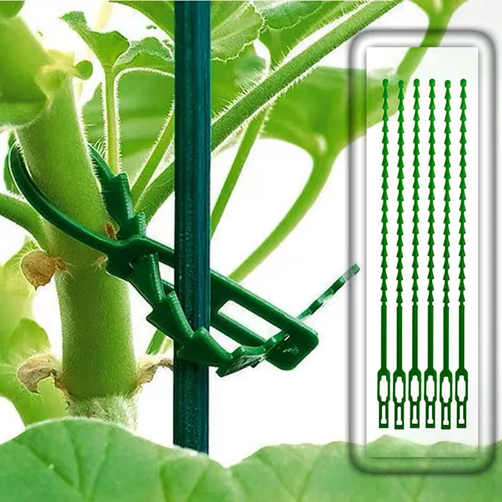 30%20Pack%20Plant%20Support%20Stakes%20Garden%20Single%20Stemmed%20Plant%20Support%20Plant%20Stakes,%20Plant%20Prop,%20Plant%20Sticks%20-%20Image%204