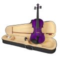 Lark Violin - Purple Colour 4/4 Full Size Basswood Acoustic Violin Fiddle Kits with Case & Bow & Rosin. 