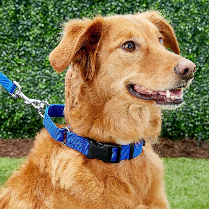 Curated visual reference: Visual Reference: Medium Martingale Soft Nylon Dog Neck Collar Small Large Dogs