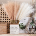 1/5/10PCS Fluffy Artificial Pampas Grass For Garden Boho Home Decor Aesthetic Simulation Plant Wedding Party Decoration. 