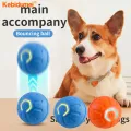 Kebidumei Smart Ball Dog Toy Pet Smart Self Rolling Electric Ball Toy USB Charging Interactive Pet Exercise Toy for Kittens Puppies. 