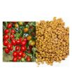 Tomato seeds -5g. 