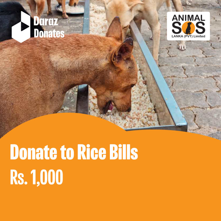 Donate to Rice Bills