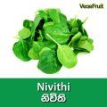Spinach (Nivithi) 10 seeds for your home garden නිවිති. 
