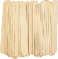 ice Cream sticks craft sticks popsicle sticks DIY crafts wooden sticks for kids 50 pcs pack. 