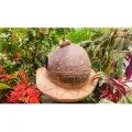 Coconut Husk LOVE BIRD Nest REST PART Weaver Bird (වී කුරුල්ලා) Nest Paddy Bird Nest  Squirrel (ලේනා) cage Coconut Shell Natural Bird House Outdoor coco cage Pol Leli Kurulu Kuduwa Lena Kuduwa And can be use for Restaurants,Hotel decor. 