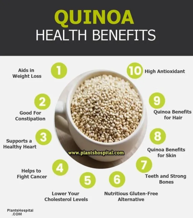 Nuttymo%20quinoa%20Seeds%201kg%20-%20Image%203