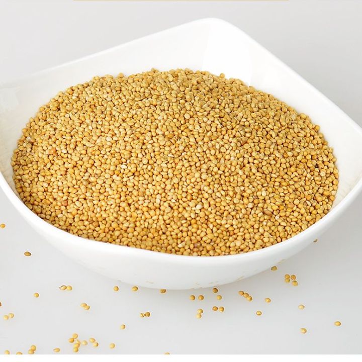 Bajiri Seeds - 1kg