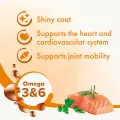 Beaphar Salmon Oil for Dog and Cats For Healthy Skin Condition 430ml. 