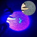 UV Led Flashlight 365nm Ultra Violets Ultraviolet Flashlight Invisible Zoomable Torch for Pet Stains Hunting Marker Checker-UV 365nm. 
