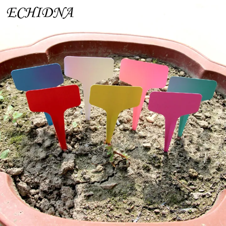 ECHIDNA%20Garden%20Tags%20Sharp%20Tip%20T-Type%20Plant%20Name%20Tag%20-%20Image%2010