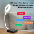 Voice Control Night Light Smart Home Energy-Saving Body Sound Sensor USB Atmosphere Lamp. 