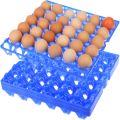 Plastic Egg Tray Egg Holder. 