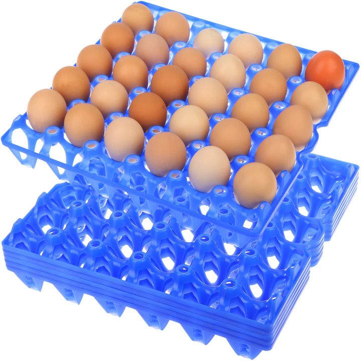Plastic Egg Tray Egg Holder