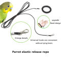 1 PC Multiple Length Options Ultralight Parrot Release Rope Bird Foot Chain Portable Not Hurt Feet Bird Training Rope Bird Outdoor Flying Rope Tool Alloy Foot Ring Pet Bird Harness Pigeon Strap. 