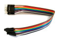 Male to Female Jumper Wire 10Pcs. 