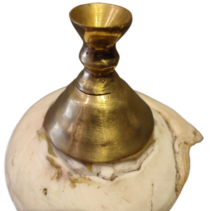Sri%20Lankan%20Traditional%20Hakgediya%20Blowing%20Conch%20Shell%20with%20Brass%20Mouthpiece%20%7C%20Hakgediya%20(%E0%B7%84%E0%B6%9A%E0%B7%8A%E0%B6%9C%E0%B7%99%E0%B6%A9%E0%B7%92%E0%B6%BA)%20Large%20Sea%20Mollusk%20Shell%20Trumpet%20%7C%20Cultural%20Instrument%20for%20Festivals,%20Weddings%20&%20Auspicious%20Ceremonies%20%7C%20Traditional%20Blowing%20Conch%20Shell%20-%20Image%206