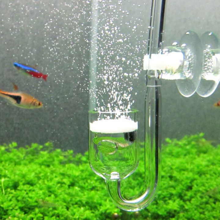 Glass%20Spiral%20CO2%20Diffuser%20Bubble%20Counter%20for%20Aquarium%20CO2%20Diffuser%20Of%20Water%20Grass%20Tank%20Carbon%20Dioxide%20Refiner%20For%20CO2%20Generator%20Cylinder%20Aquarium%20Accessories%20-%20Image%204