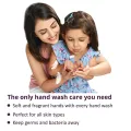 Santoor Mild Gentle Hand Wash with Goodness of Lotus & Tulsi| Rich Lathering Formula with Anti-Bacterial Properties| Soft on Hands| Soothes & Hydrates Skin (1500ml)FROM INDIA (SAM). 
