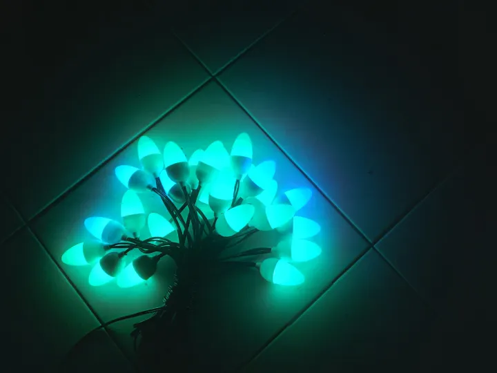 waterproof%207%20colours%20%2025%20Bulbs%20Vesak%20bulb%20set%20vesak%20bulb%205W%20wesak%20light%20vesak%20Decorations%20-%20Image%204