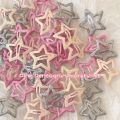 TrendyTrades 30 Pcs New Star Hairpin Millennium Hair Clip Set Parallex Girl Star Hair Pins Cute Beautiful Girl Fashion Y2k Star Hair Clip Set. 
