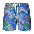 Hawaii Beach Shorts Men Casual 3D Printed Natural Plants Swimsuit Quick Dry Bermuda Surf Board Shorts Pants Fashion Swim Trunks. 