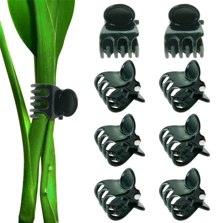 Monstera%20Plant%20Support%20Clips%20Ties%20Set%20Plant%20Support%20Stakes%20Moss%20Pole%20for%20Indoor%20Plants%20Green%20-%20Image%205