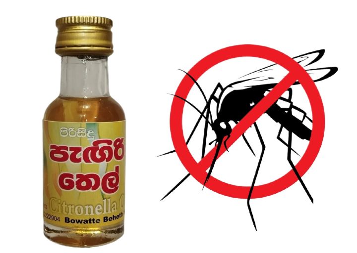 Citronella Oil, Pangiri Thel 28ml use as an antiseptic, bactericidal, deodorant and an insect repellent specially for mosquito, පැඟිරි තෙල්