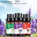 10ml Essential Oil High Purity Refresh Air Multiple Aromas Fragrance Diffuser with Dropper Aromas Oil for Humidifier. 